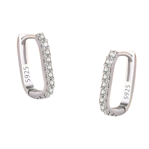 earrings_hoops